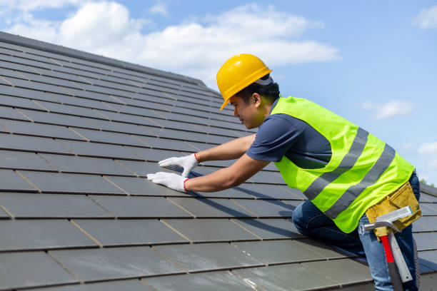 Best Roof Gutter Cleaning  in Waterman, IL
