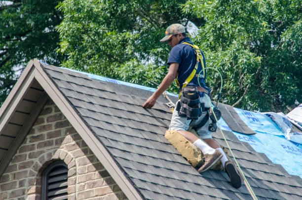Best Gutter Installation and Roofing  in Waterman, IL